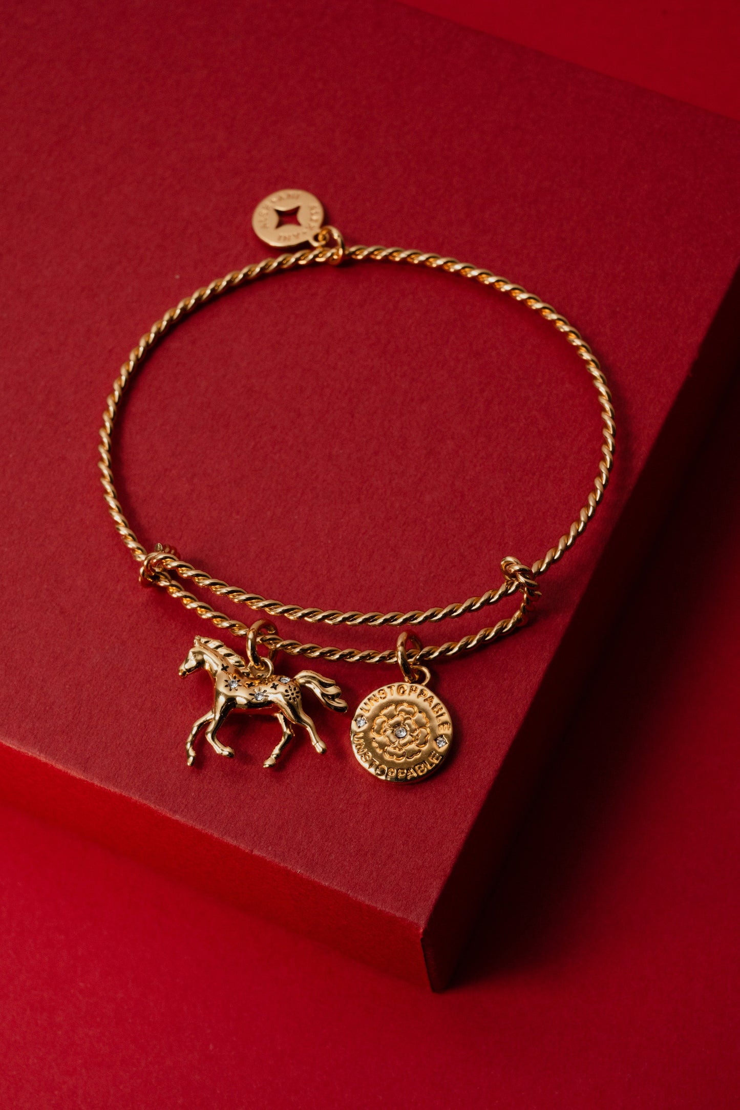 Alex & Ani  Horse Girl Rope Textured Charm Bangle