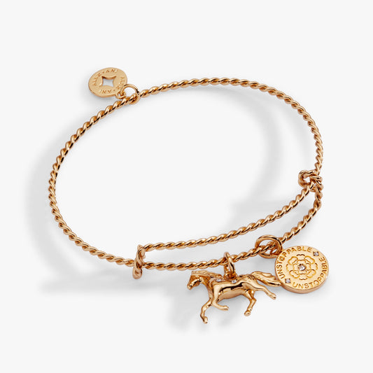 Alex & Ani  Horse Girl Rope Textured Charm Bangle