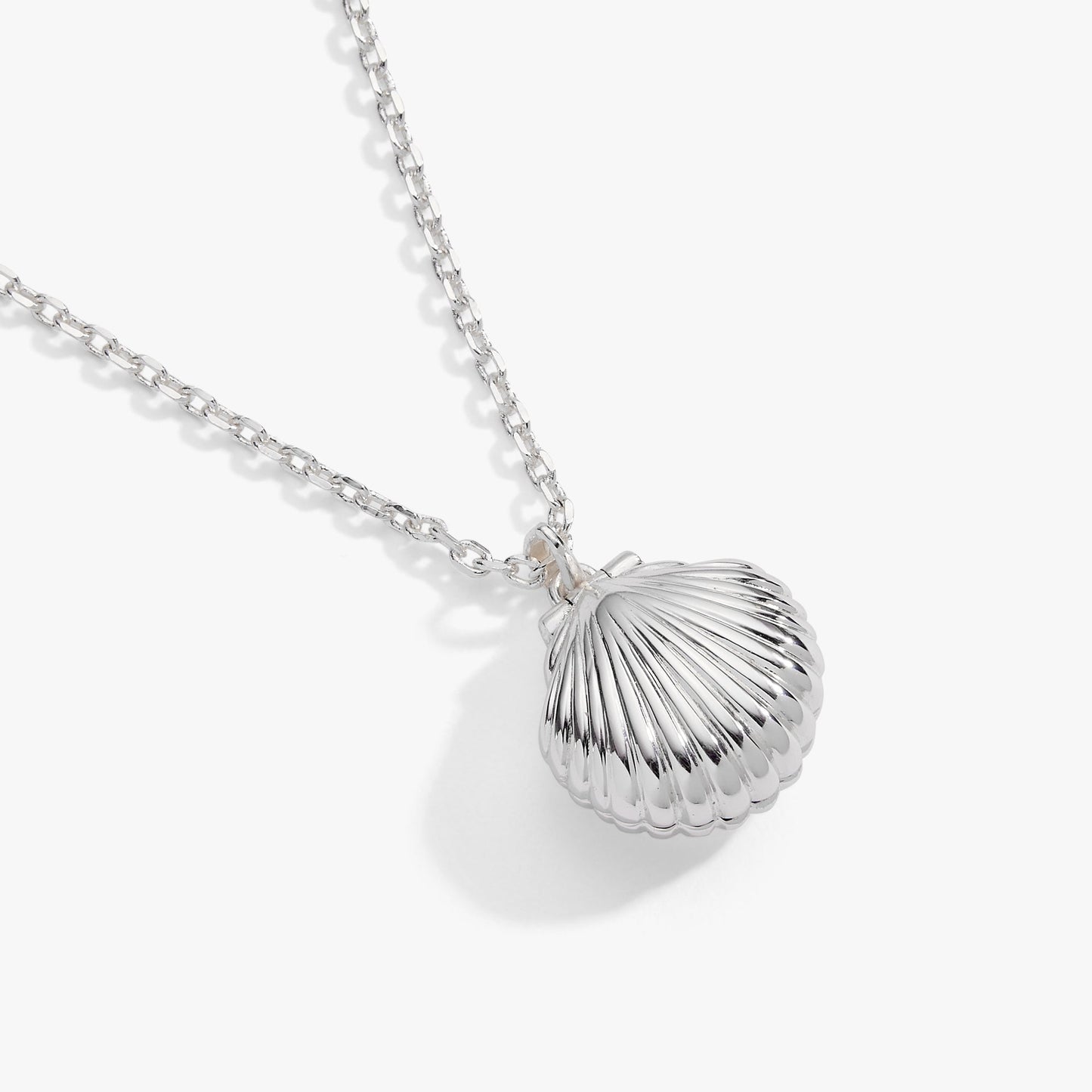 Alex & Ani Salt + Sea 'Seashells Are Love Letters In The Sand' Seashell Locket Pendant