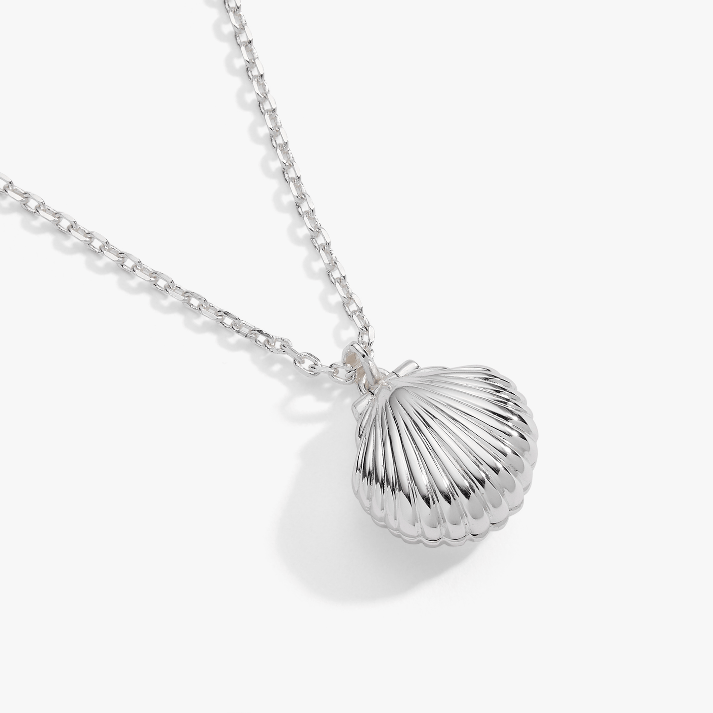 Alex & Ani Salt + Sea 'Seashells Are Love Letters In The Sand' Seashell Locket Pendant